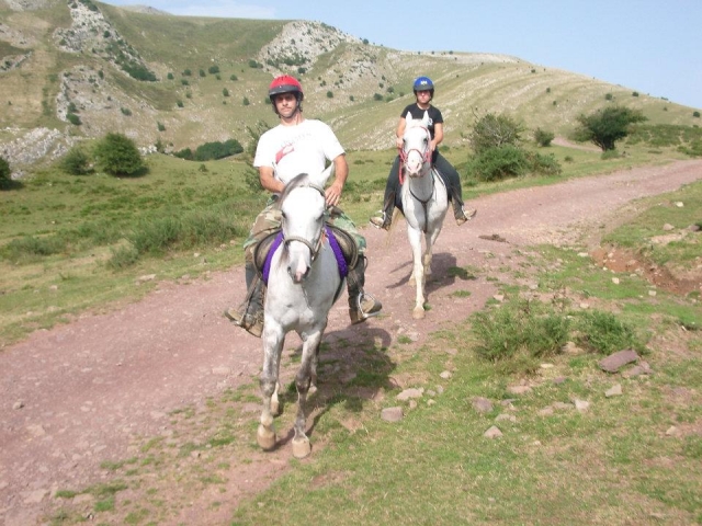 Paseos a caballo